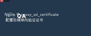 nginx 中 proxy_ssl_certificate 配置后端单向验证证书