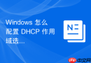 Windows 怎么配置 DHCP 作用域选项下发默认网关与 DNS 地址