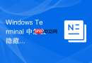 Windows Terminal 中怎么隐藏特定的默认终端配置文件防止误触