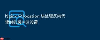 Nginx 中 location 块处理反向代理时的缓冲区设置