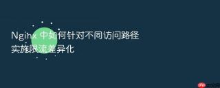 nginx 中如何针对不同访问路径实施限流差异化