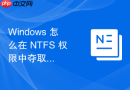 Windows 怎么在 NTFS 权限中夺取无主文件或文件夹的所有权