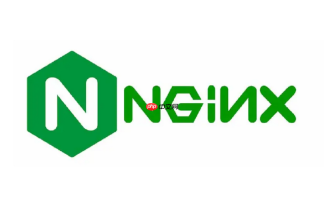 nginx 怎么在 nginx 中为 svg 矢量图与 json 数据配置专属的 gzip 压缩规则