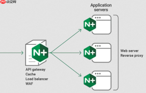 nginx 怎么使用 root 指令指定网站静态文件的绝对物理根目录路径