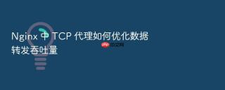 Nginx 中 TCP 代理如何优化数据转发吞吐量