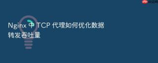 nginx 中 tcp 代理如何优化数据转发吞吐量