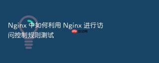 nginx 中如何利用 nginx 进行访问控制规则测试