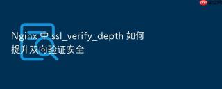 Nginx 中 ssl_verify_depth 如何提升双向验证安全