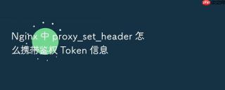 Nginx 中 proxy_set_header 怎么携带鉴权 Token 信息