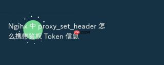nginx 中 proxy_set_header 怎么携带鉴权 token 信息