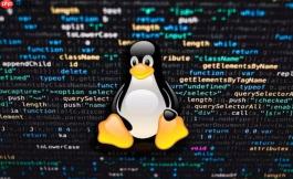 linux 中怎么使用多路径软件管理光纤存储