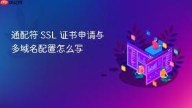 通配符 ssl 证书申请与多域名配置怎么写