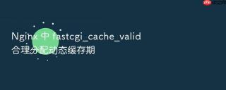 nginx 中 fastcgi_cache_valid 合理分配动态缓存期