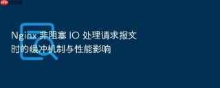 nginx 非阻塞 io 处理请求报文时的缓冲机制与性能影响