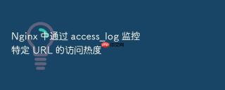 nginx 中通过 access_log 监控特定 url 的访问热度