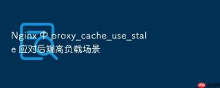 nginx 中 proxy_cache_use_stale 应对后端高负载场景
