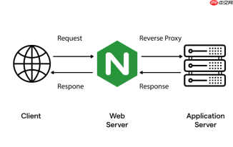 单机多项目部署时 nginx root 怎么配