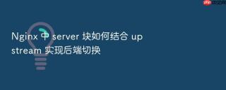 nginx 中 server 块如何结合 upstream 实现后端切换