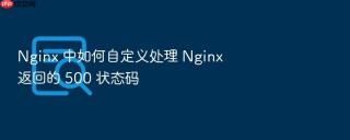 nginx 中如何自定义处理 nginx 返回的 500 状态码