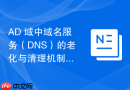AD 域中域名服务（DNS）的老化与清理机制