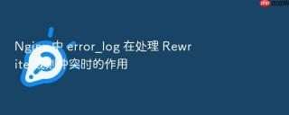 nginx 中 error_log 在处理 rewrite 规则冲突时的作用
