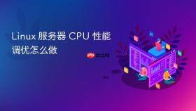 Linux 服务器 CPU 性能调优怎么做