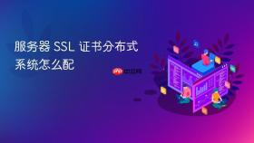 服务器 SSL 证书分布式系统怎么配