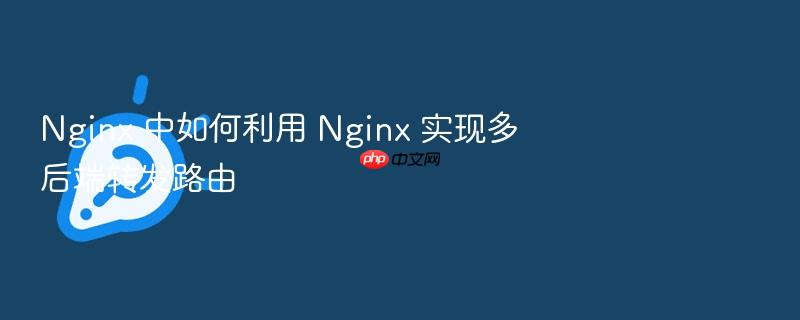 nginx 中如何利用 nginx 实现多后端转发路由