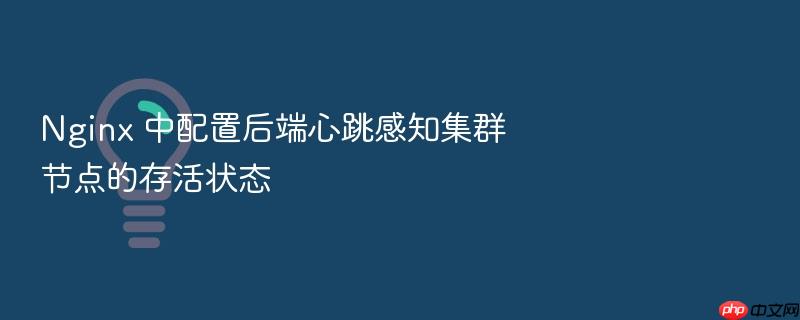 nginx 中配置后端心跳感知集群节点的存活状态