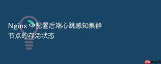 nginx 中配置后端心跳感知集群节点的存活状态