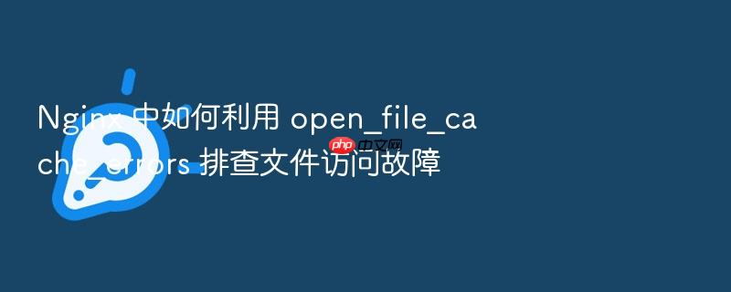 nginx 中如何利用 open_file_cache_errors 排查文件访问故障