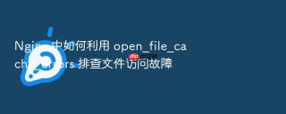 nginx 中如何利用 open_file_cache_errors 排查文件访问故障