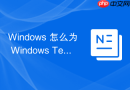 Windows 怎么为 Windows Terminal 配置无边框沉浸式窗口