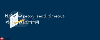 nginx 中 proxy_send_timeout 控制发送超时时间