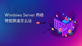 windows server 网络带宽限速怎么设