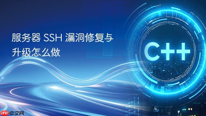 服务器 ssh 漏洞修复与升级怎么做