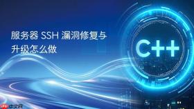 服务器 ssh 漏洞修复与升级怎么做