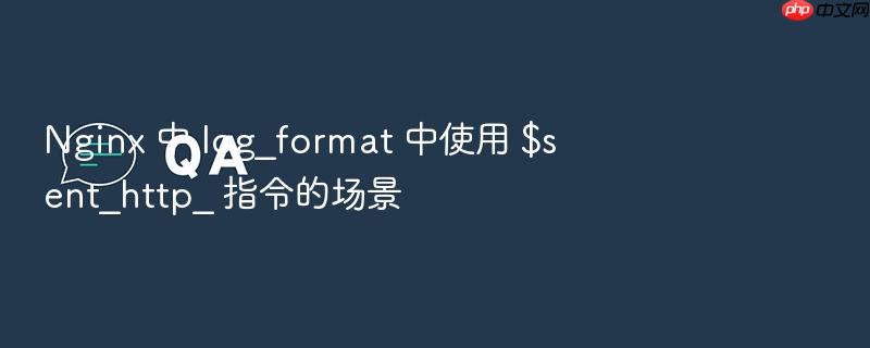 nginx 中 log_format 中使用 $sent_http_ 指令的场景