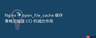 nginx 中 open_file_cache 缓存策略对磁盘 i/o 的减负作用