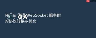 nginx 代理 websocket 服务时的协议转换与优化