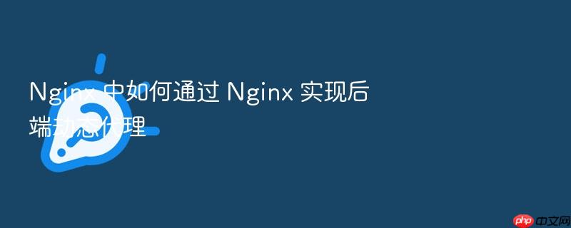 nginx 中如何通过 nginx 实现后端动态代理