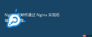 nginx 中如何通过 nginx 实现后端动态代理