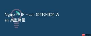 nginx 中 ip hash 如何处理非 web 类型流量