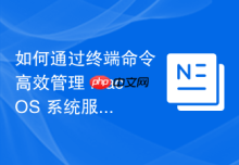 如何通过终端命令高效管理 macOS 系统服务