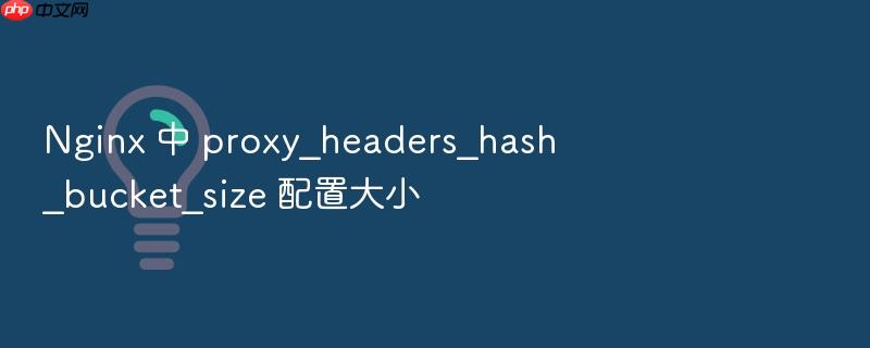 nginx 中 proxy_headers_hash_bucket_size 配置大小