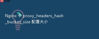 nginx 中 proxy_headers_hash_bucket_size 配置大小