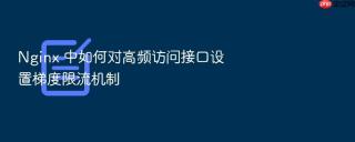 nginx 中如何对高频访问接口设置梯度限流机制