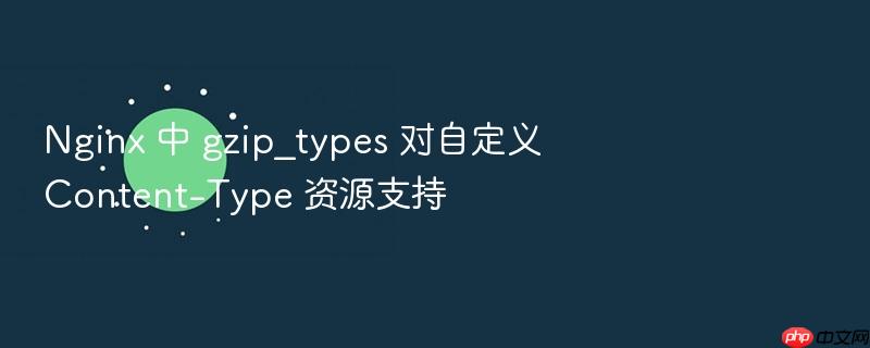 nginx 中 gzip_types 对自定义 content-type 资源支持