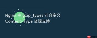 nginx 中 gzip_types 对自定义 content-type 资源支持