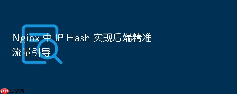 nginx 中 ip hash 实现后端精准流量引导